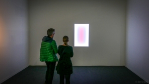 Look!Art ArtGeneva Jan 2017-7