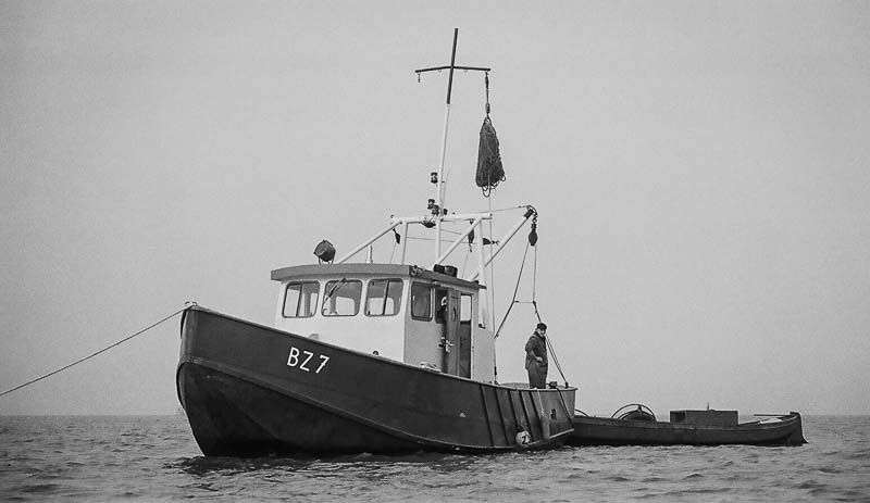 Fishing for Anchovies in Bergen op Zoom De Weervisserij in Bergen op Zoom