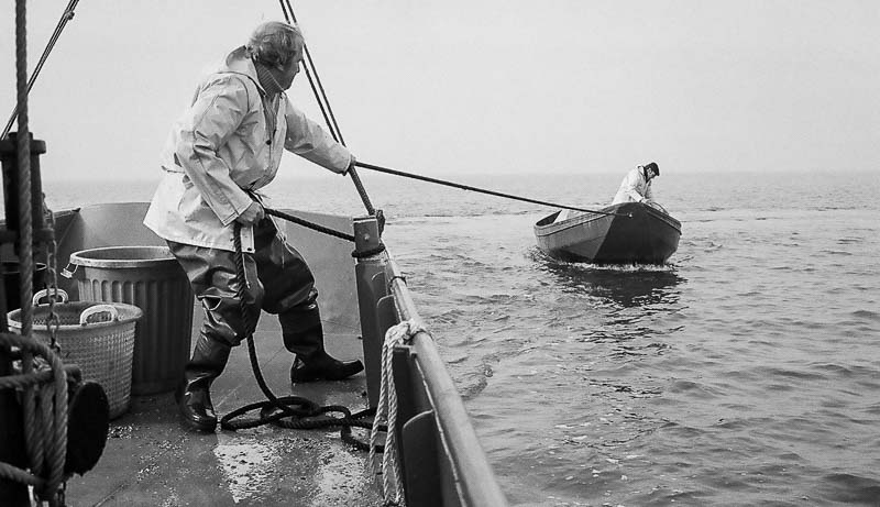 Fishing for Anchovies in Bergen op Zoom De Weervisserij in Bergen op Zoom