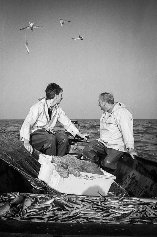 Fishing for Anchovies in Bergen op Zoom De Weervisserij in Bergen op Zoom