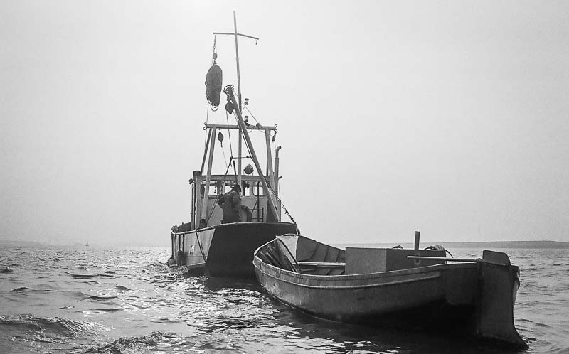 Fishing for Anchovies in Bergen op Zoom De Weervisserij in Bergen op Zoom