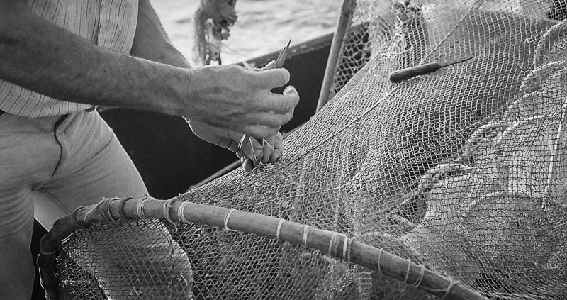 Fishing for Anchovies in Bergen op Zoom De Weervisserij in Bergen op Zoom