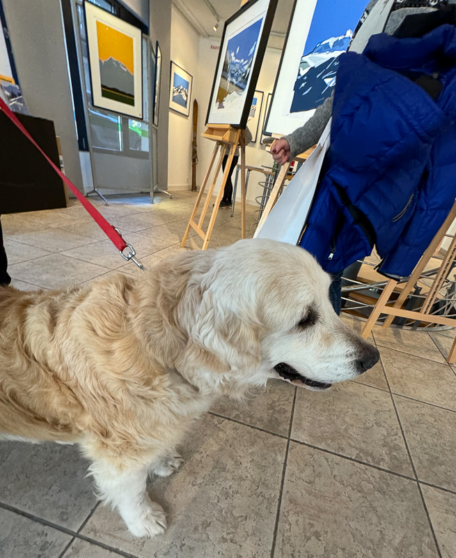 Paintings Danny Touw Exhibition Feb 2024 Champéry -51 paintings danny touw exhibition Art Gallery Champéry Switzerland Valais