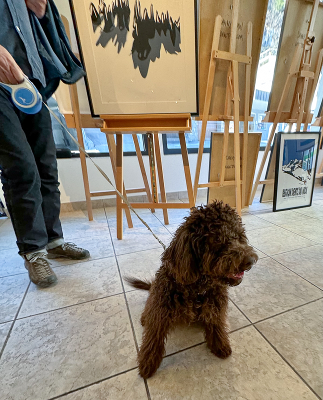 Paintings Danny Touw Exhibition Feb 2024 Champéry -53 paintings danny touw exhibition Art Gallery Champéry Switzerland Valais