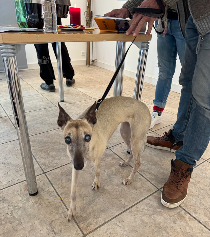 Paintings Danny Touw Exhibition Feb 2024 Champéry -54 paintings danny touw exhibition Art Gallery Champéry Switzerland Valais