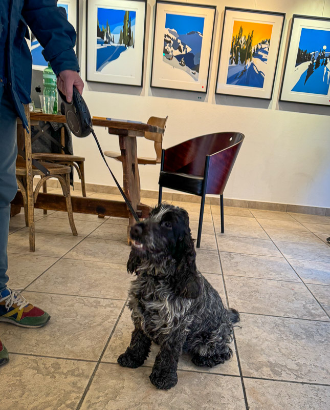 dogs of the exhibition -8 exhibition artworks danny touw champéry raiffeisen gallery