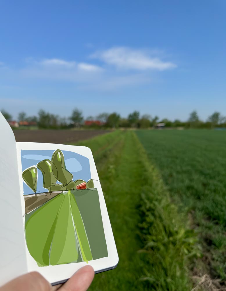 Paintings Drawings by Danny Touw in the Netherlands