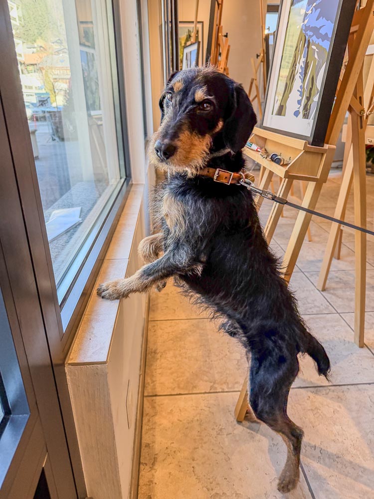 paintings by danny touw art exhibition champery region dents du midi portes du midi