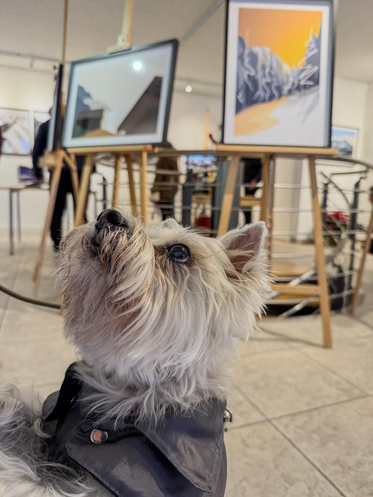 paintings by danny touw art exhibition champery region dents du midi portes du midi