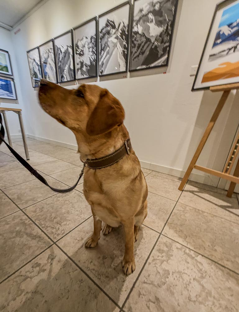 paintings by danny touw art exhibition champery region dents du midi portes du midi