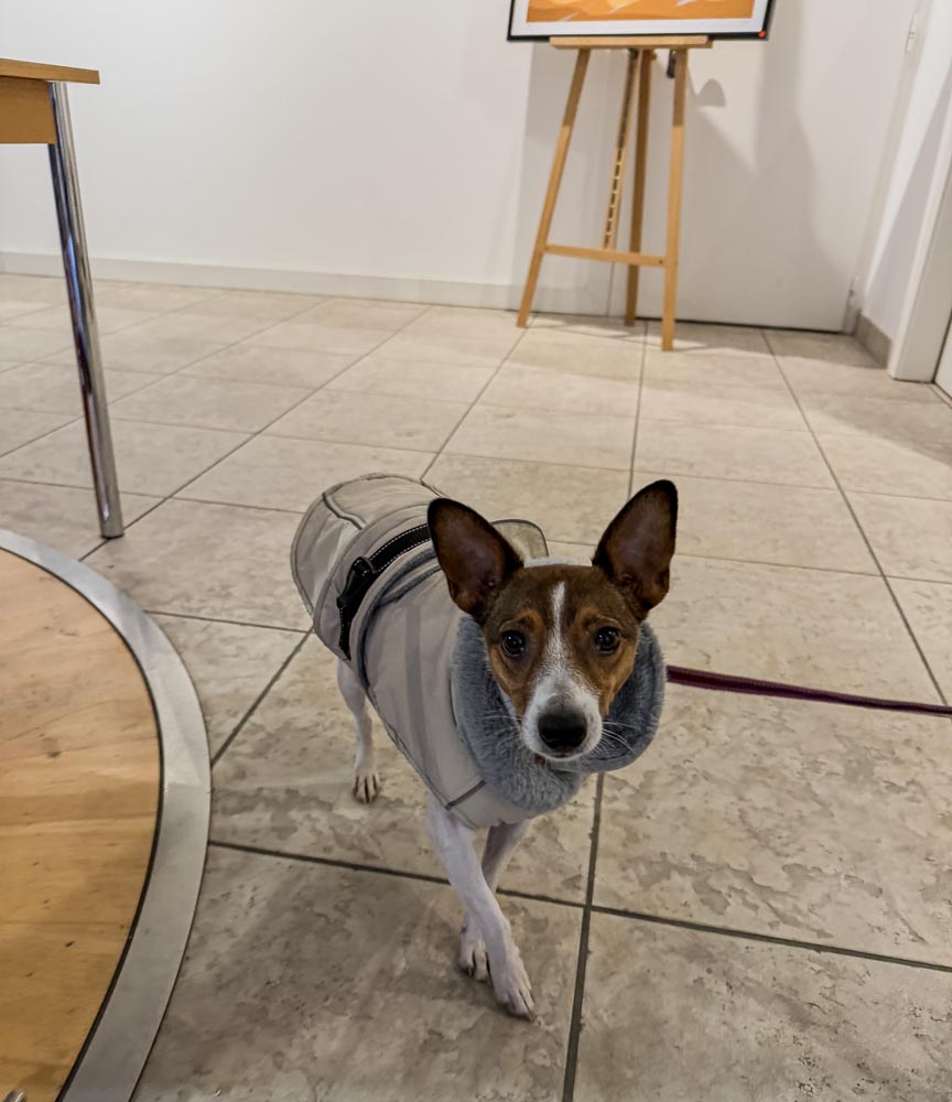 paintings by danny touw art exhibition champery region dents du midi portes du midi