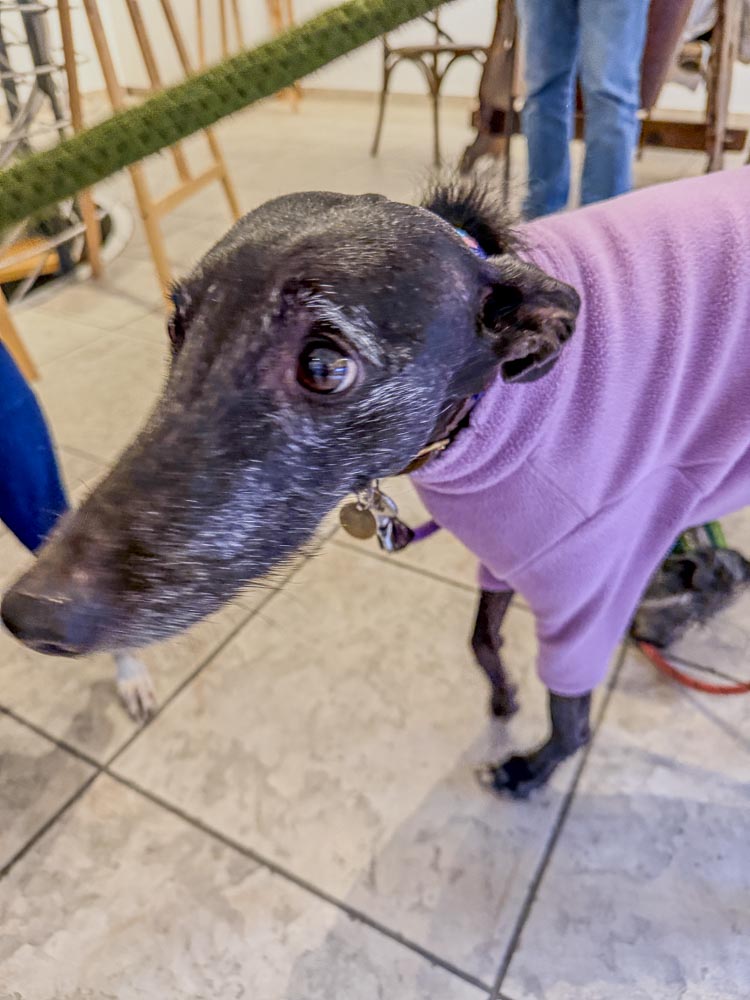 paintings by danny touw art exhibition champery region dents du midi portes du midi