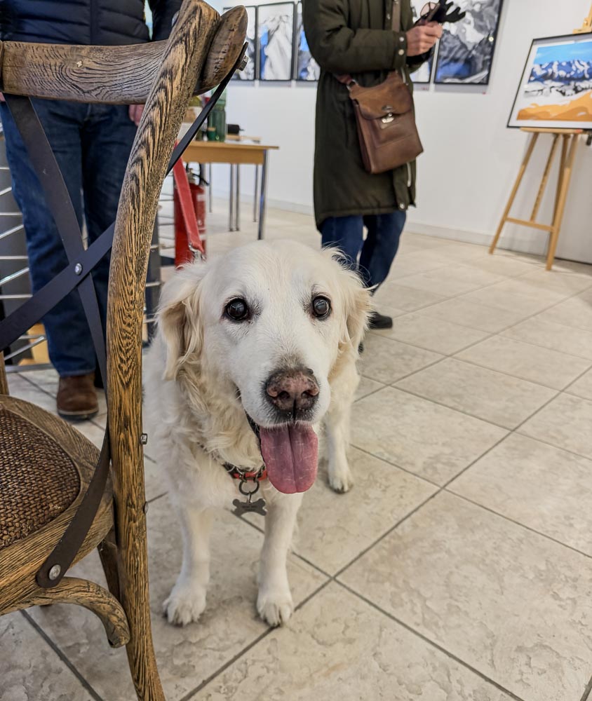 paintings by danny touw art exhibition champery region dents du midi portes du midi